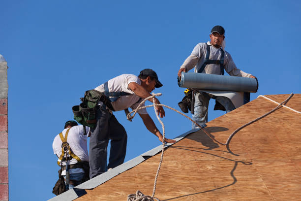 Best Roof Repair Services  in Derby, KS
