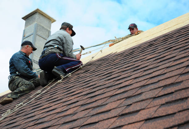 Best Metal Roofing Contractor  in Derby, KS